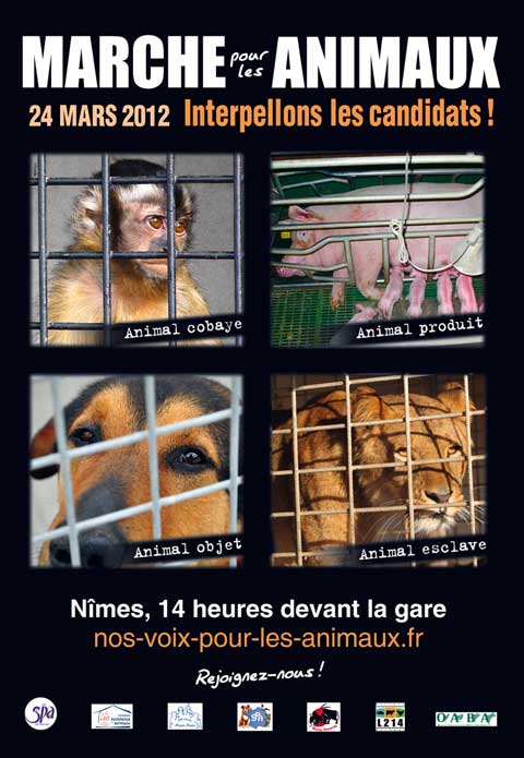Marche pour les animaux le 24 mars à Nîmes