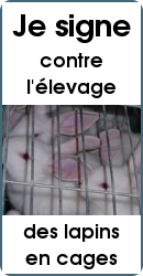 Je signe contre l'élevage des lapins en cages