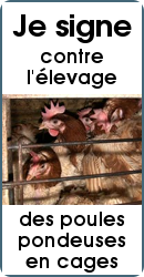 Je signe contre l'élevage des poules pondeuses en cages