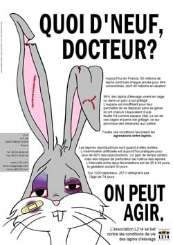 Affiche lapin 17