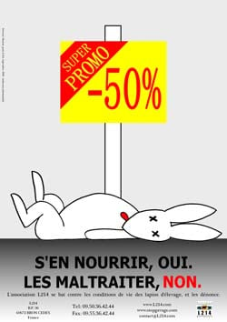 Affiche lapin 19