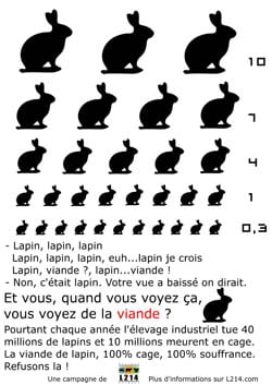 Affiche lapin 2
