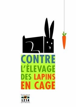 Affiche lapin 20