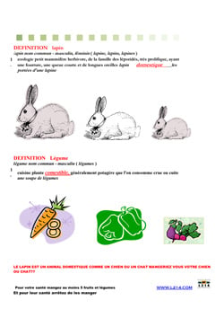 Affiche lapin 24