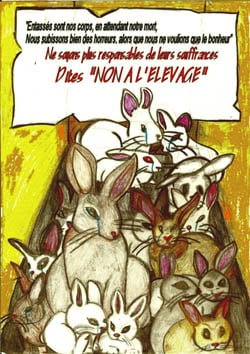 Affiche lapin 4