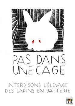 Affiche lapin 5