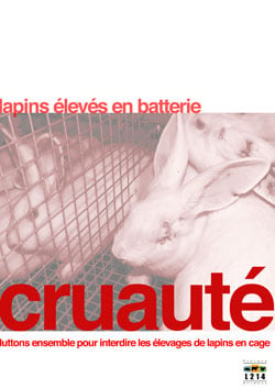 Affiche lapin 6