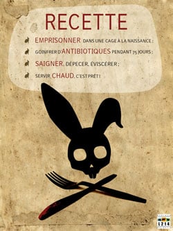 Affiche lapin 7