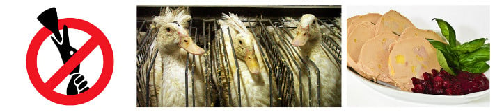 Israël interdit le foie gras