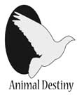 Animal Destiny