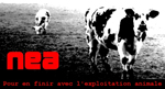 Nea