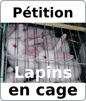 Pétition contre l'élevage des lapins en cages