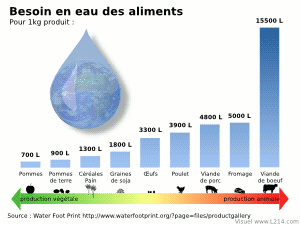 Ressources en eau nécessaire à la production des aliments