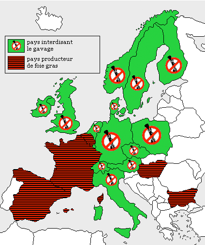 Interdiction du gavage en Europe 