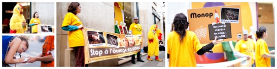 site de la campagne Monoprix les oeufs de batterie ça suffit