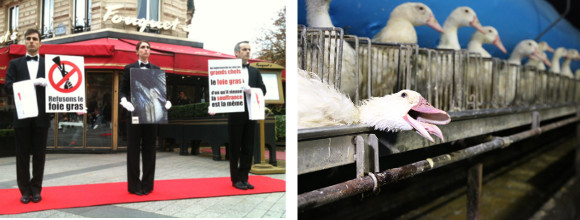 Mobilisation contre le foie gras à Paris