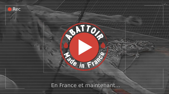 Vidéo d'enquête sur l'abattoir d'Alès