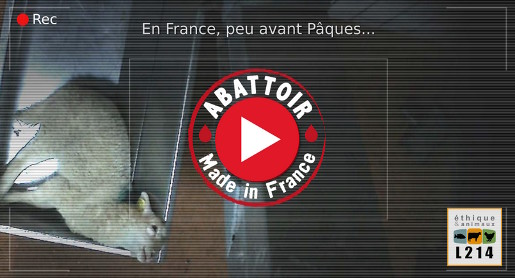 Enquête à l’abattoir de Mauléon-Licharre