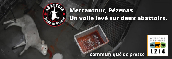 Abattoirs de Pézenas et Mercantour