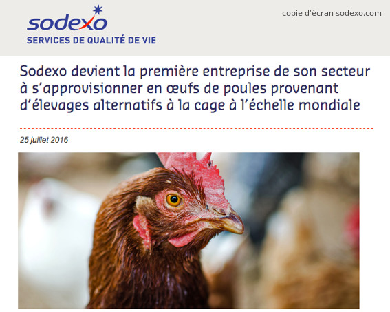 Copie d'écran Sodexo