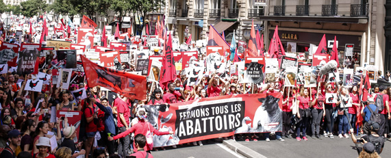 Marche pour la fermeture des abattoirs