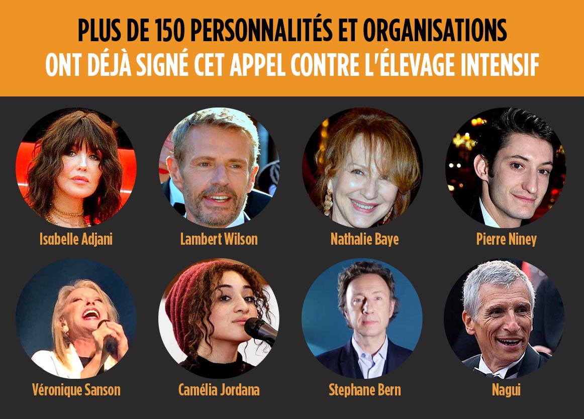 Stop à l'élevage intensif