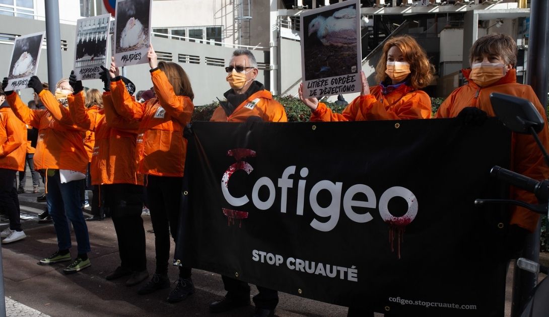 mobilisation devant le siège de COFIGEO