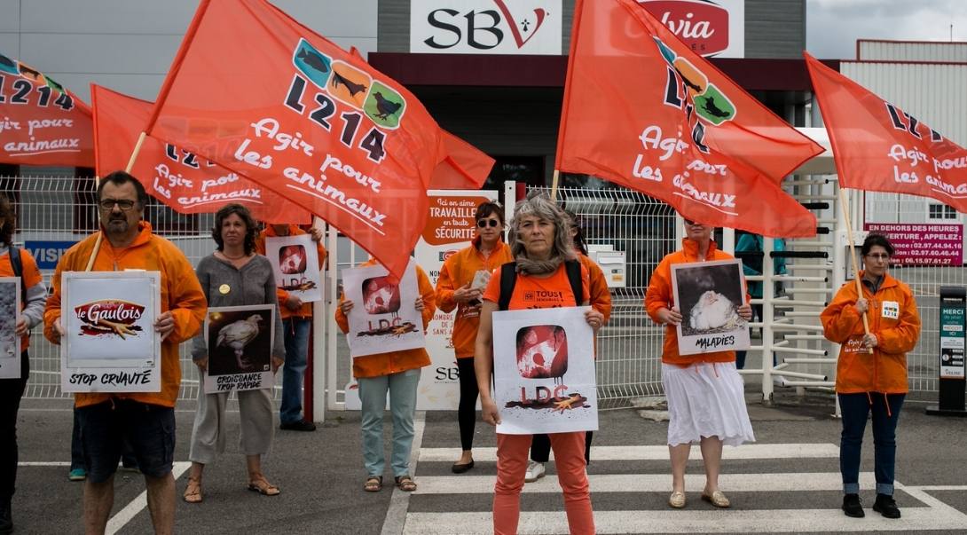 manifestation devant SBV