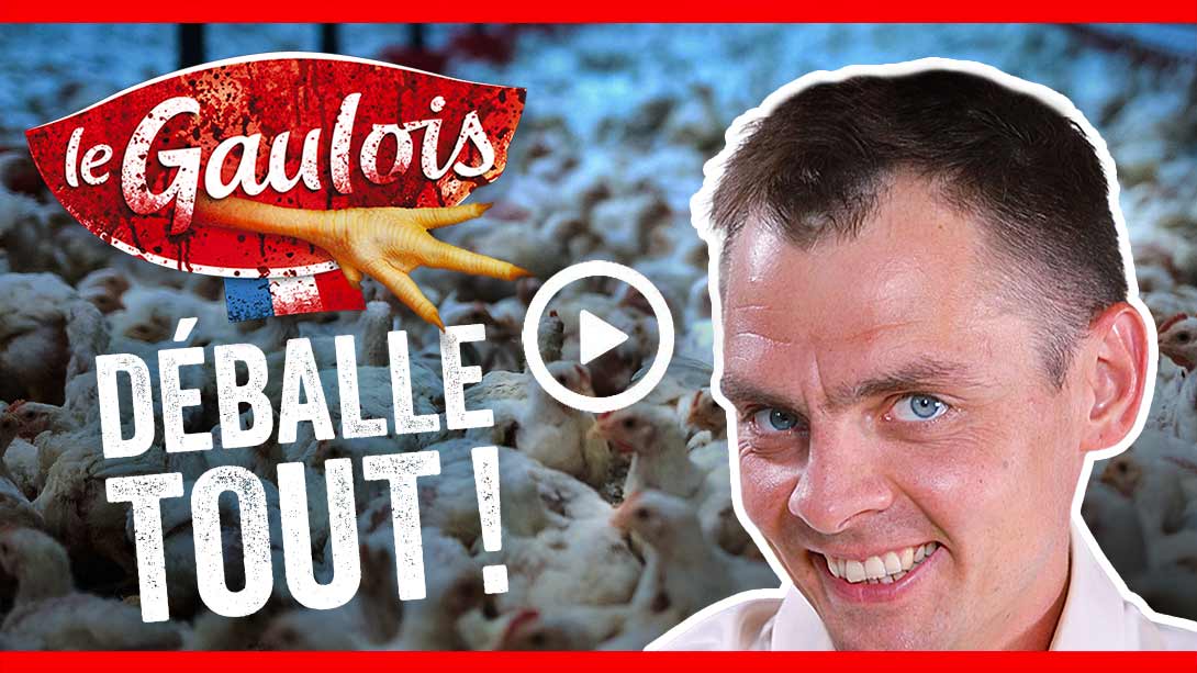 vidéo parodique Le Gaulois