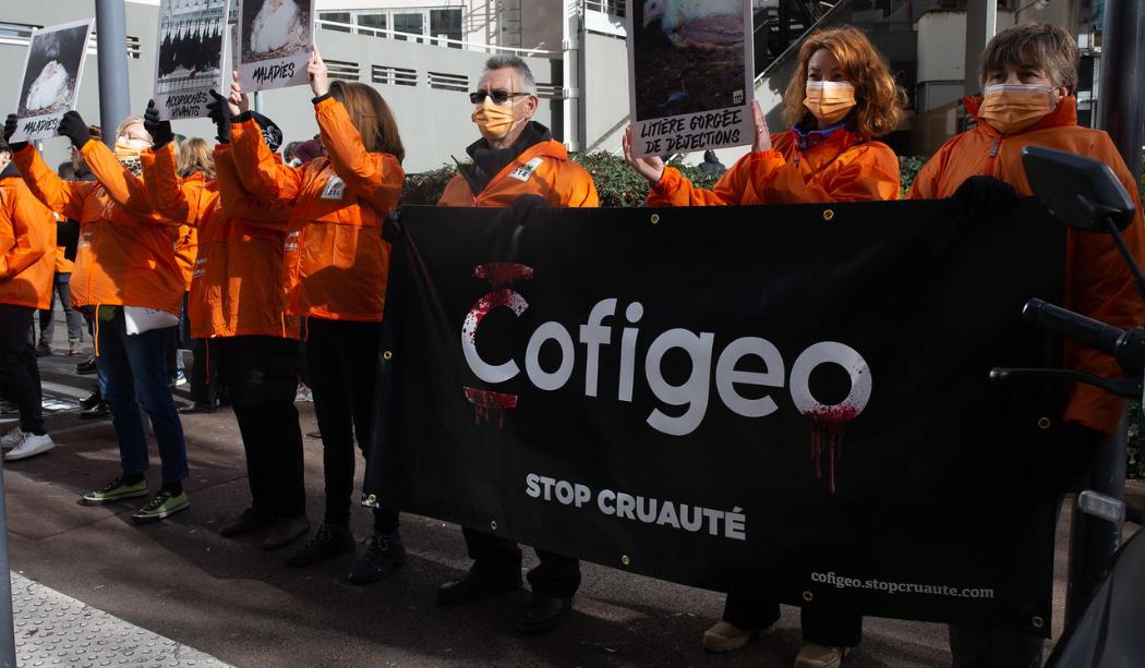 Manifestation Cofigeo 2022