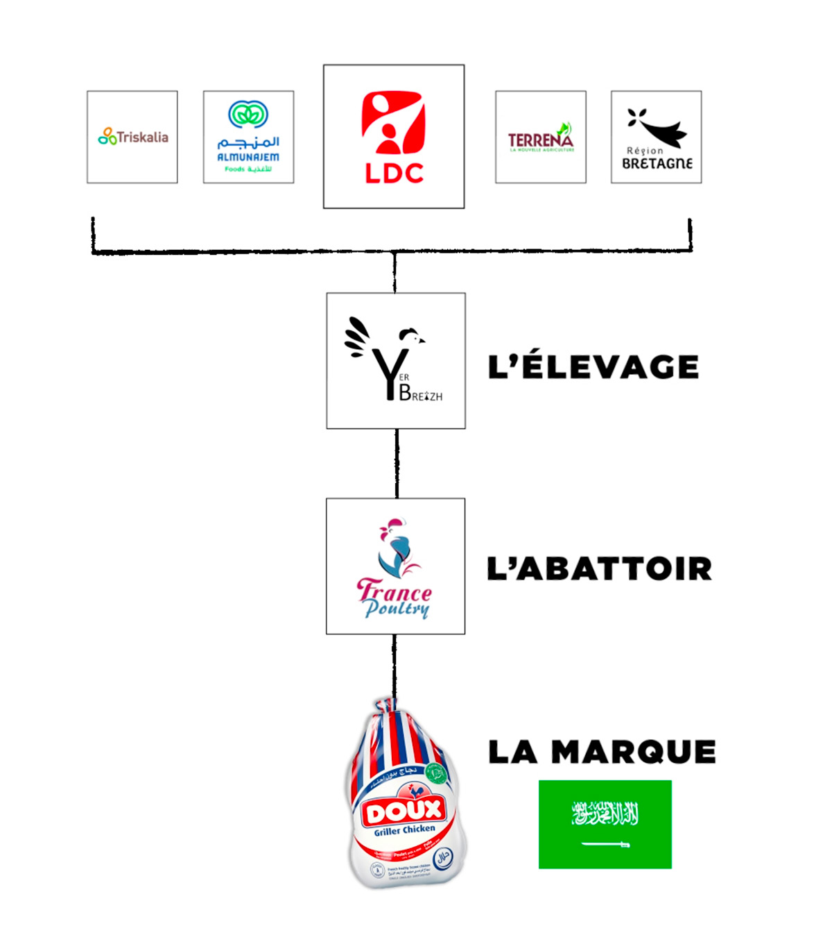 Enquête sur des poulets bretons destinés au marché saoudien