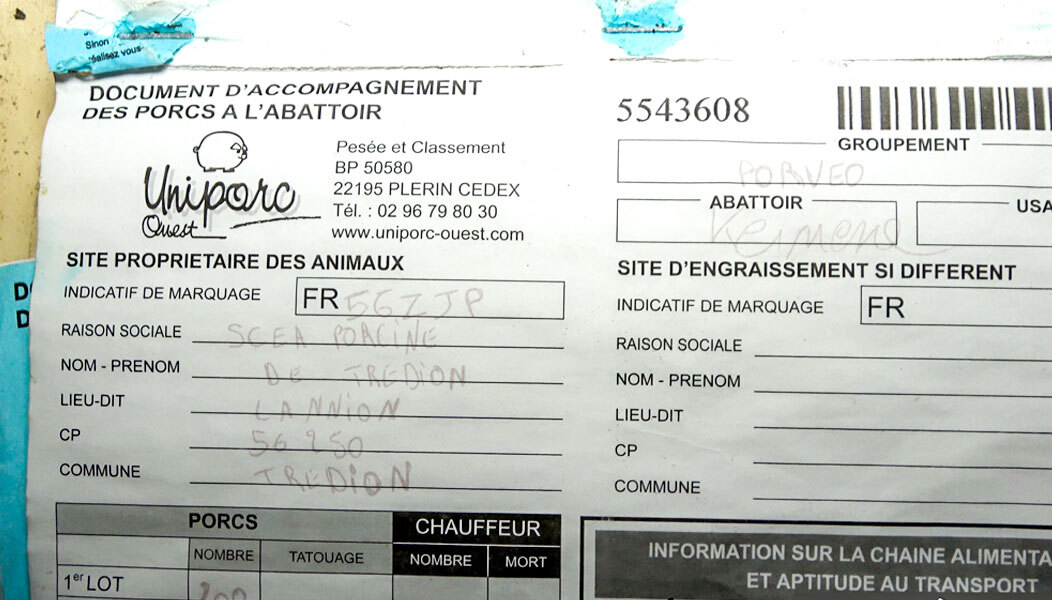 Document d’accompagnement de cochons à l’abattoir Kermené