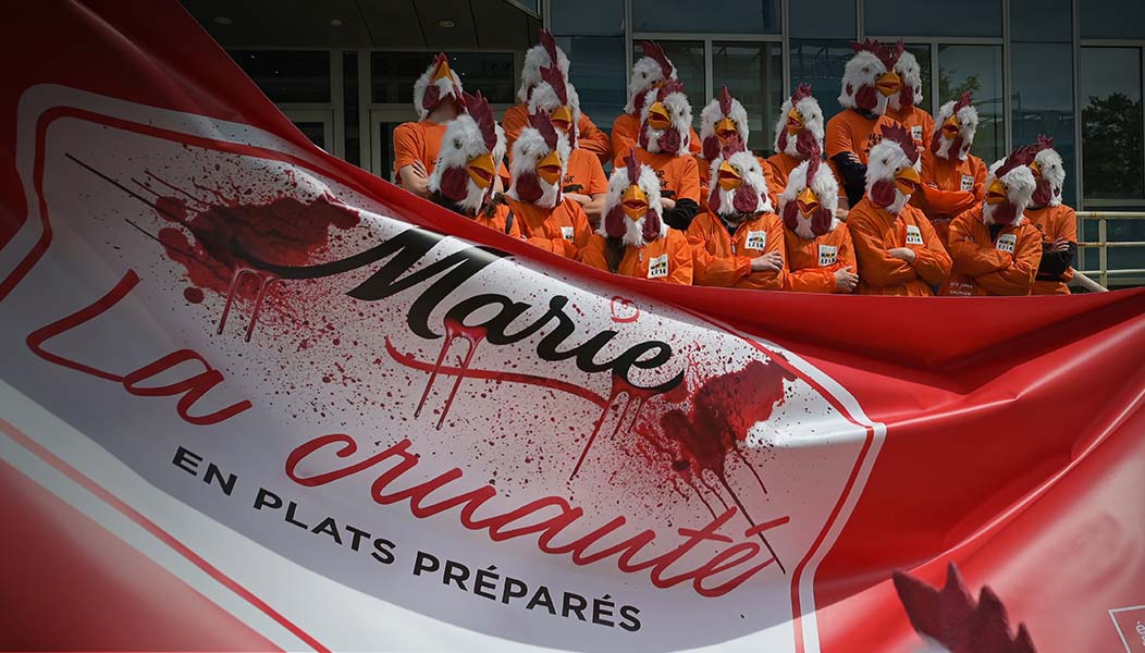 Action devant le siège de Marie à Rungis