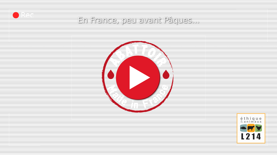 Vidéo Abattoir made in France