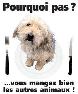 Journée contre le spécisme