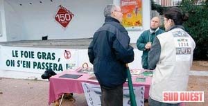 Photo Sud-Ouest Arcachon