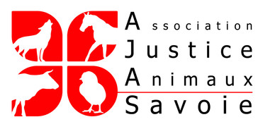 Logo AJAS