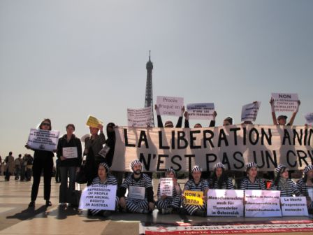 Manifestation de soutien au militants autrichiens de la protection animale