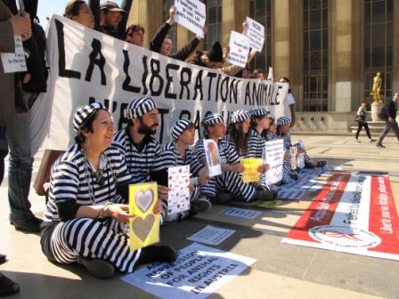 Manifestation de soutien au militants autrichiens de la protection animale