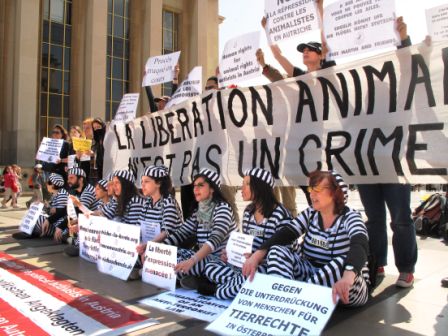 Manifestation de soutien au militants autrichiens de la protection animale