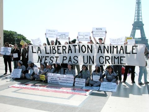 Manifestation de soutien au militants autrichiens de la protection animale