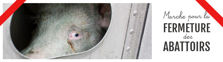 Marche pour la fermeture des abattoirs