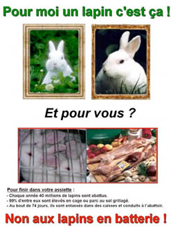 Affiche 1