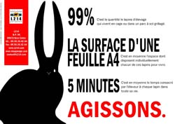 Affiche lapin 18