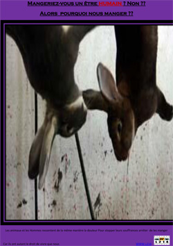 Affiche lapin 26