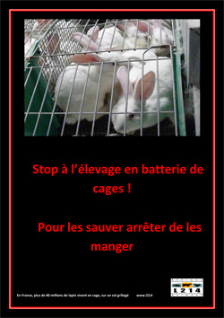 Affiche lapin 27