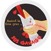 Badge n°1 pour les animaux