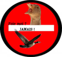 Badge n°3 pour les animaux
