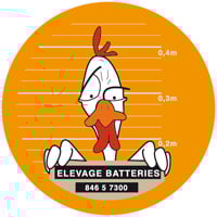 Badge n°77 pour les animaux