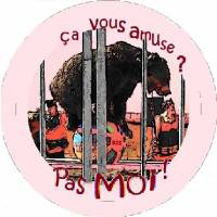 Badge n°81 pour les animaux